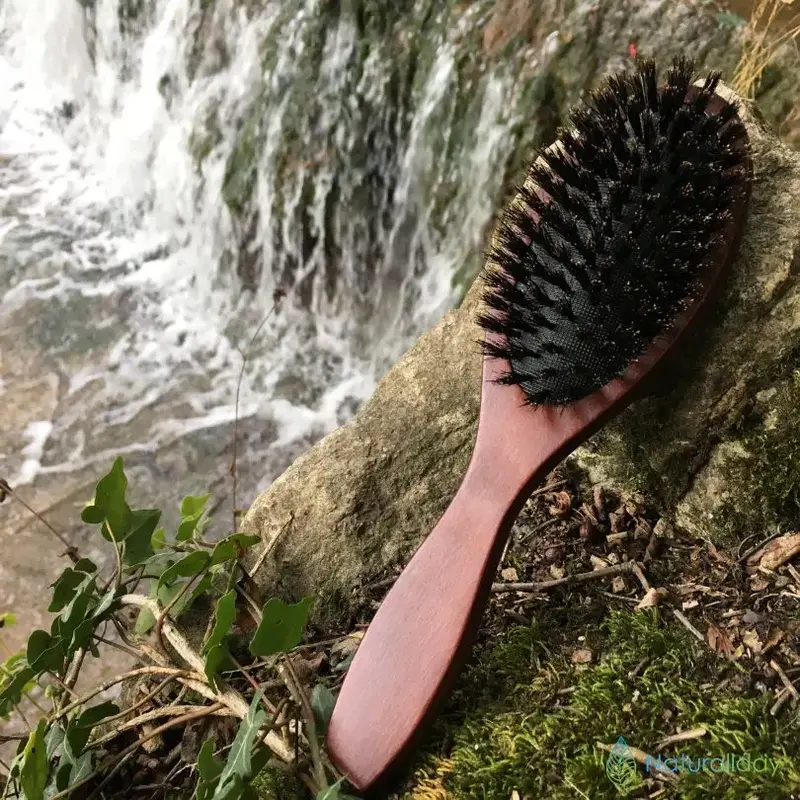 Brosse à cheveux en poils de sanglier - Naturelle, douce et durable