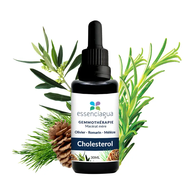 Complexe de bourgeons bio Cholestérol 100% Bio et Artisanal