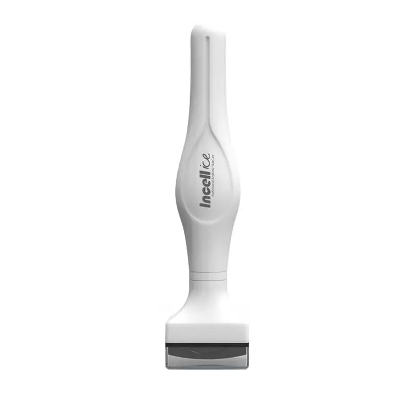 Derma Stamp INCELLICE 175 Titane – Outil de soin du visage à domicile
