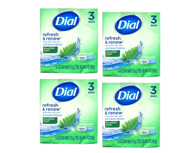 Dial Montagne Fraiche — Savon antibactérien en barre, 4 barres de 96 g