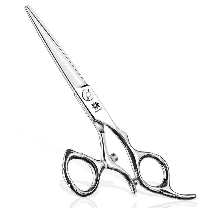Dream Reach – Ciseaux professionnels 6 pouces en acier 440C, pouce rotatif 360°