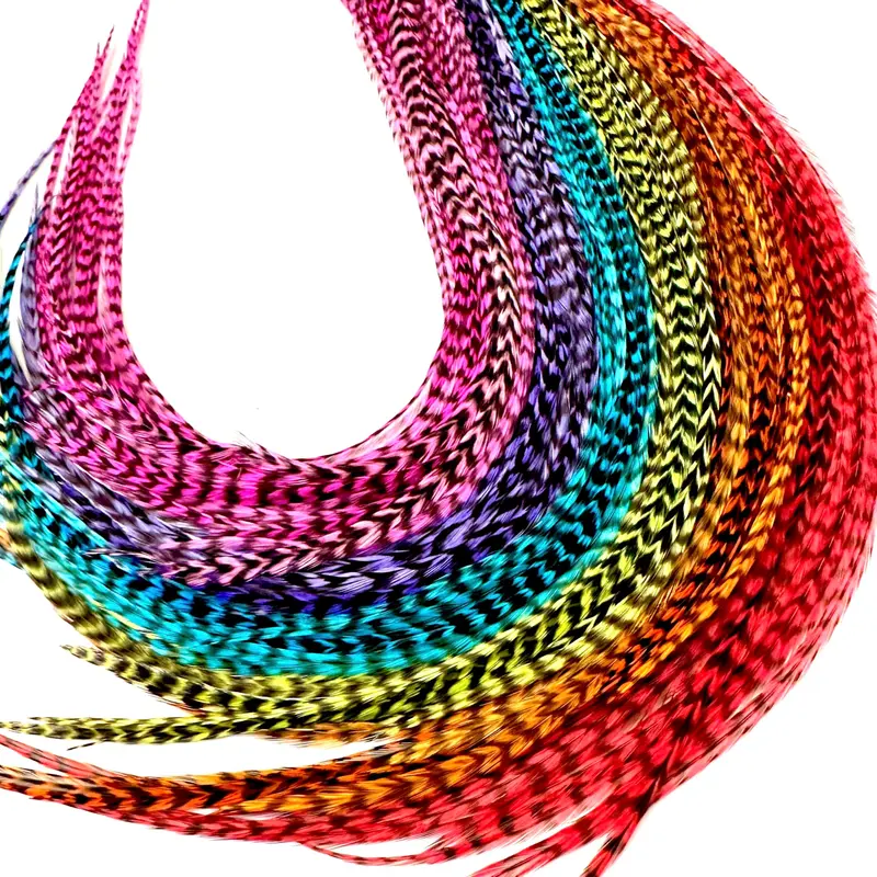 Feather Headz | 21 Extensions Rainbow Grizzly – 9–14 po – Kit DIY, 20 micro-billes, plumes réelles