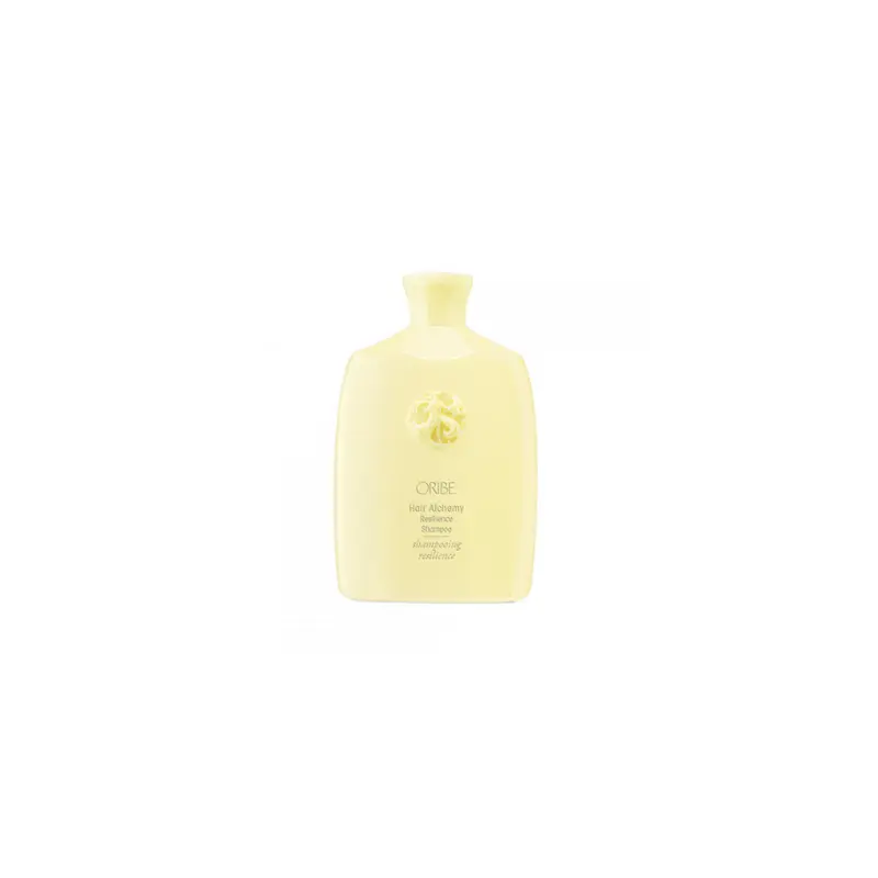 Hair Alchemy Shampoing
