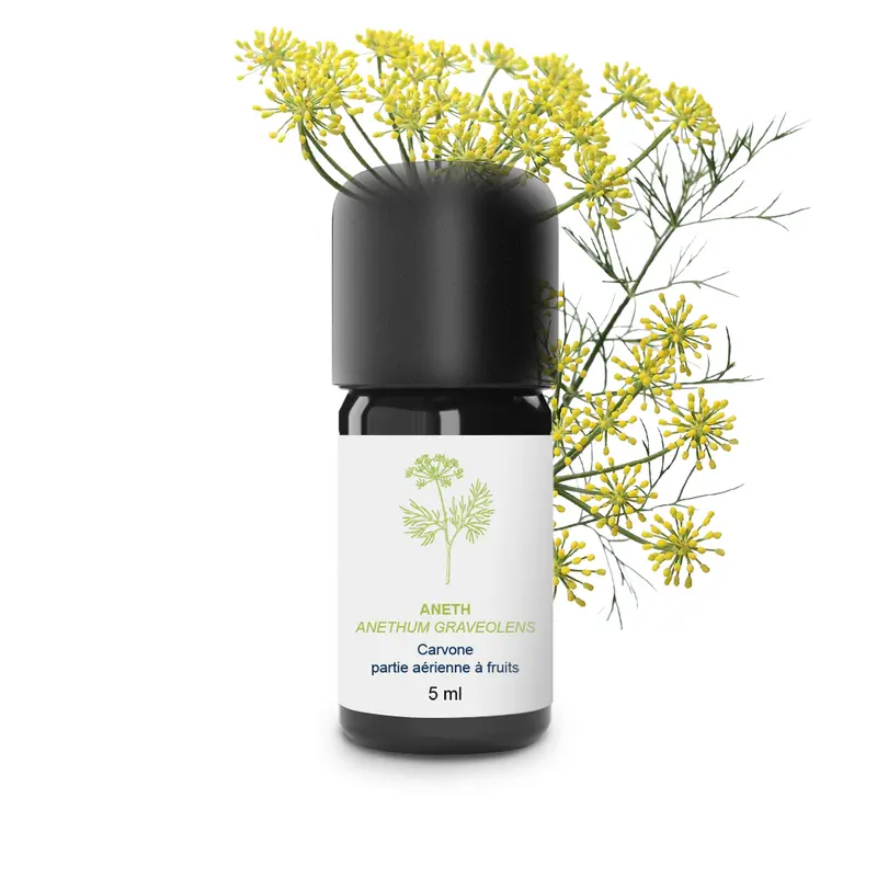 Huile Essentielle d'Aneth 100% Bio et Artisanal