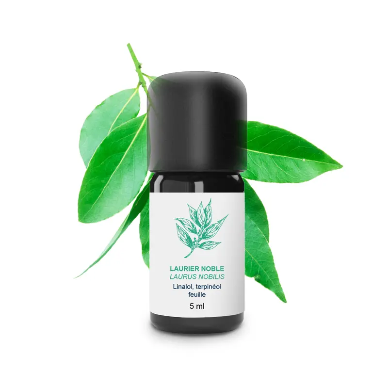 Huile Essentielle de Laurier noble 100% Bio et Artisanal