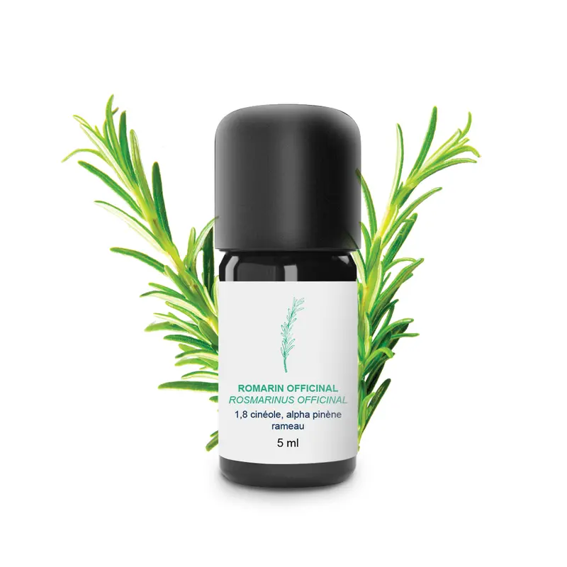 Huile Essentielle de Romarin Officinal 100% Bio et Artisanal