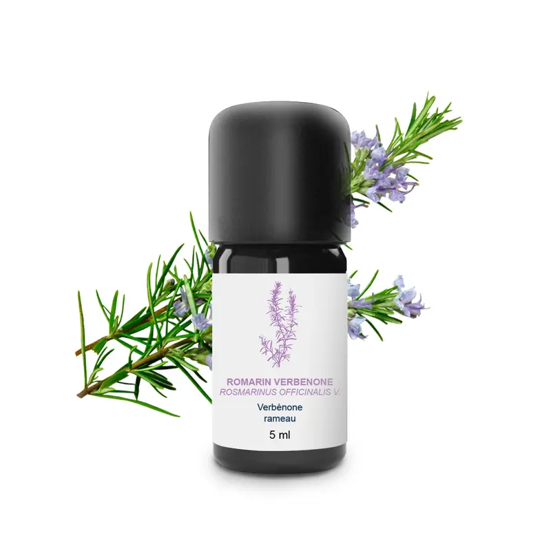 Huile Essentielle de Romarin verbenone 100% Bio et Artisanal