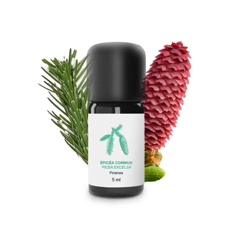 Huile Essentielle d'Epicea commun 100% Bio et Artisanal