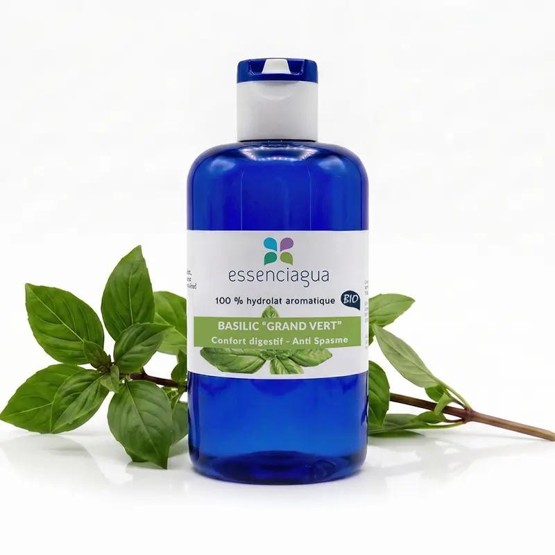 Hydrolat de Basilic grand vert 100% Bio et Artisanal