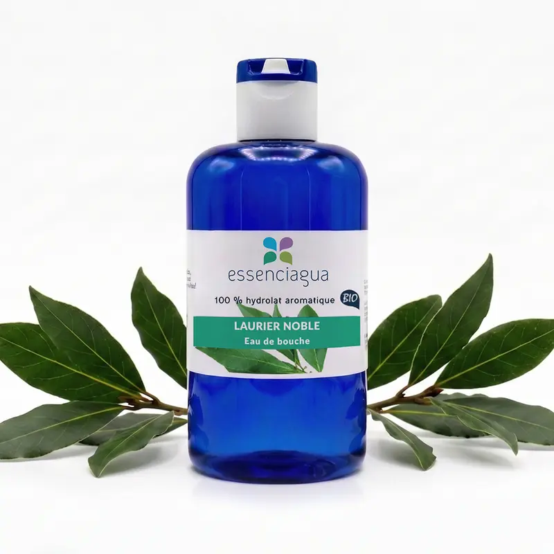 Hydrolat de Laurier noble 100% Bio et Artisanal