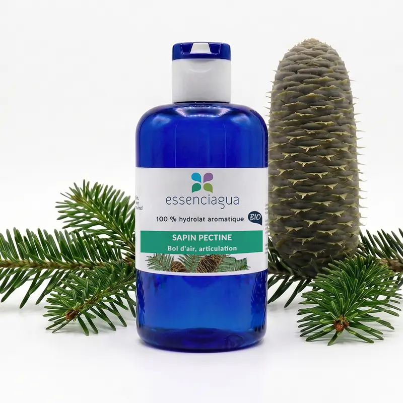 Hydrolat de Sapin pectiné 100% Bio et Artisanal
