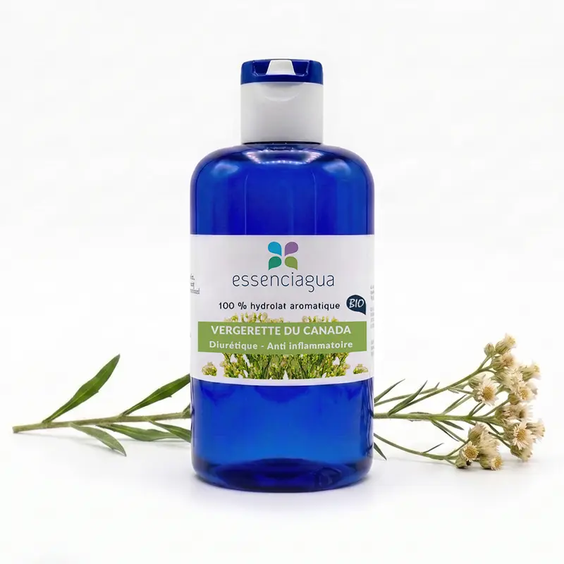 Hydrolat de Vergerette du Canada 100% Bio et Artisanal