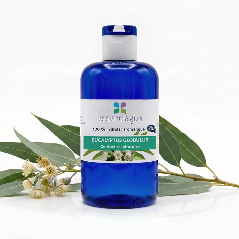 Hydrolat d'Eucalyptus globulus 100% Bio et Artisanal