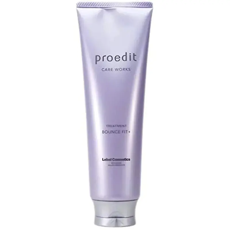 Lebel Soin capillaire professionnel WORKS Bounce Fit Plus 250 ml – cheveux souples et hydratés