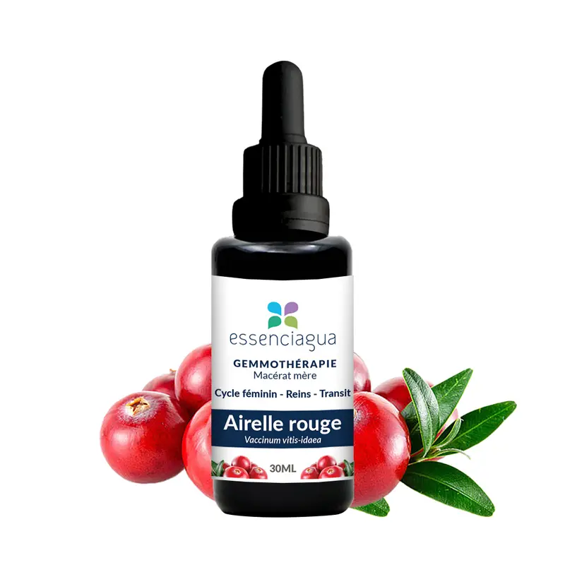 Macérat de bourgeons bio Airelle rouge 100% Bio et Artisanal