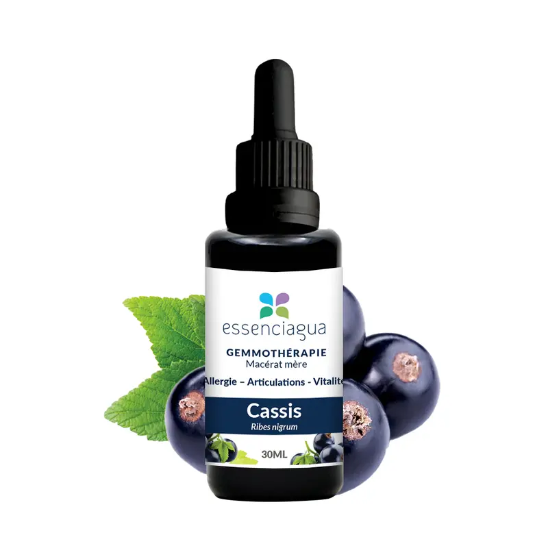 Macérat de bourgeons bio Cassis 100% Bio et Artisanal