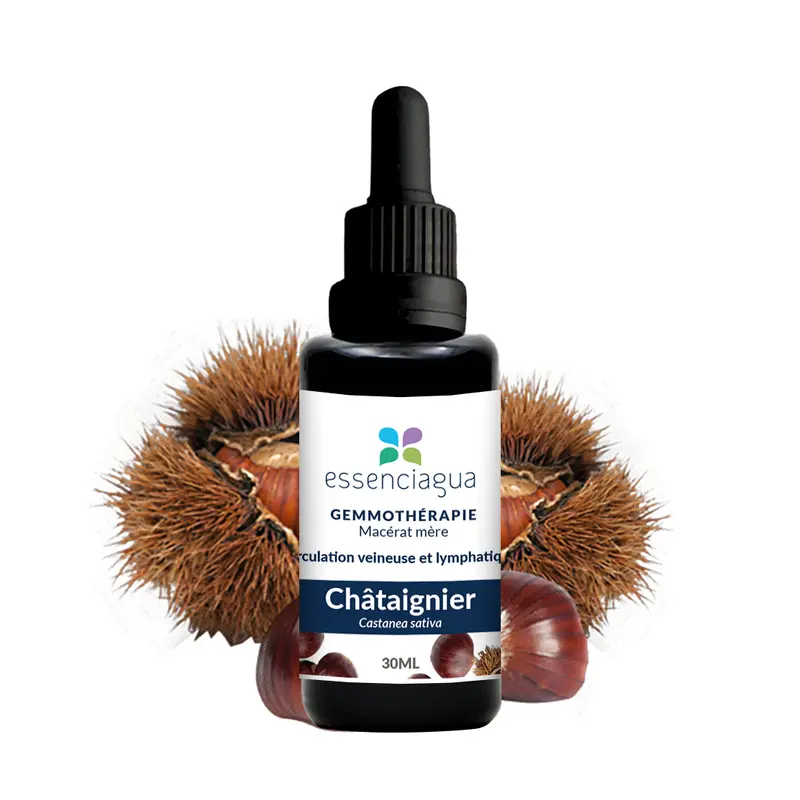 Macérat de bourgeons bio Châtaignier 100% Bio et Artisanal