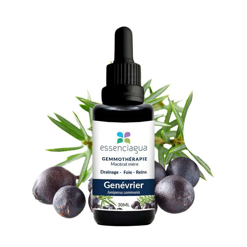 Macérat de bourgeons bio Genévrier 100% Bio et Artisanal