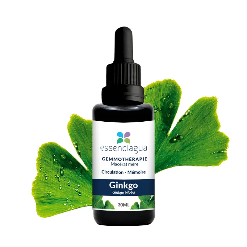 Macérat de bourgeons bio Ginkgo 100% Bio et Artisanal