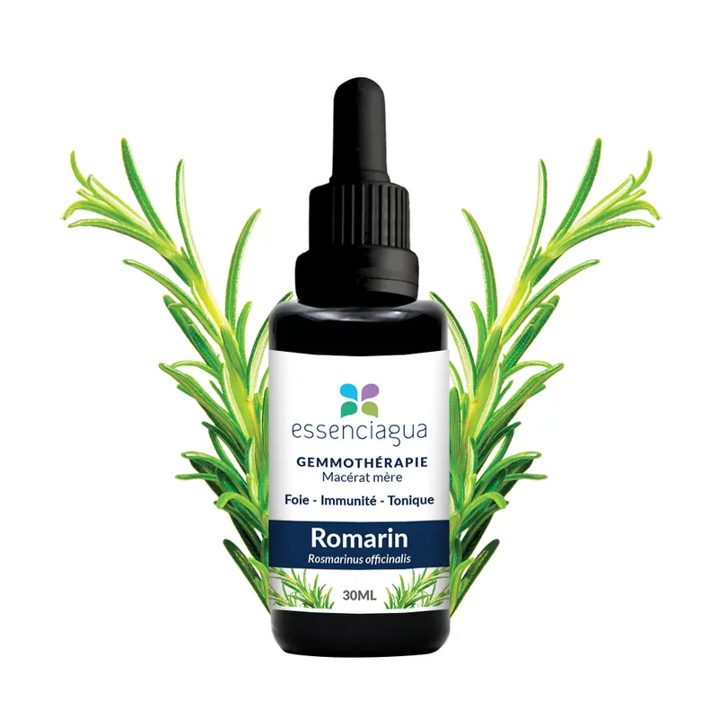 Macérat de bourgeons bio Romarin 100% Bio et Artisanal