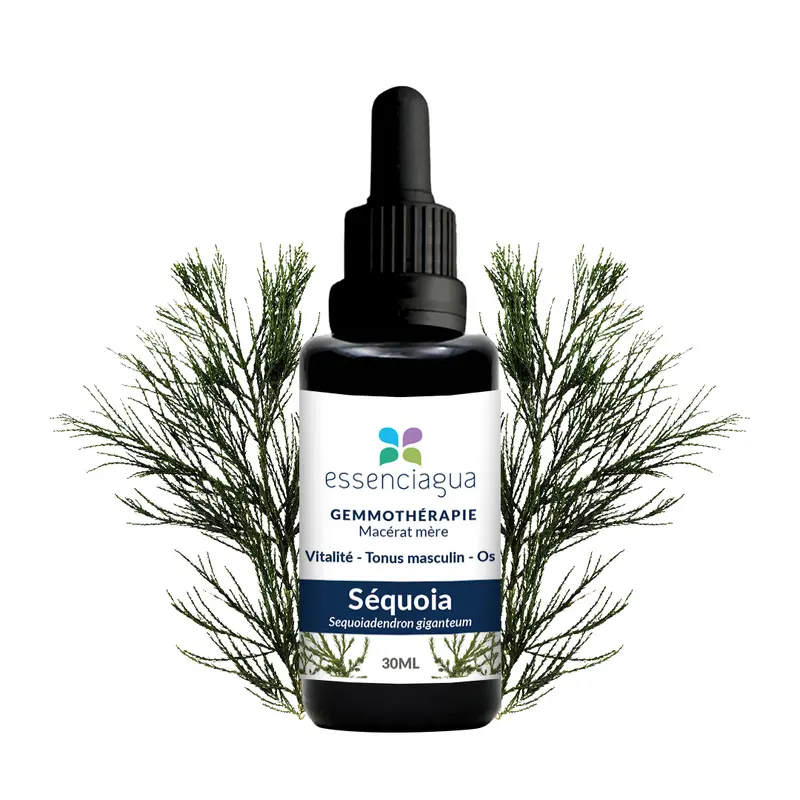 Macérat de bourgeons bio Séquoia 100% Bio et Artisanal