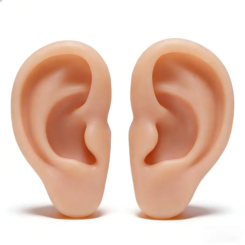 Modèle d’oreille en silicone Yosoo Health Gear – Réaliste, réutilisable et pratique