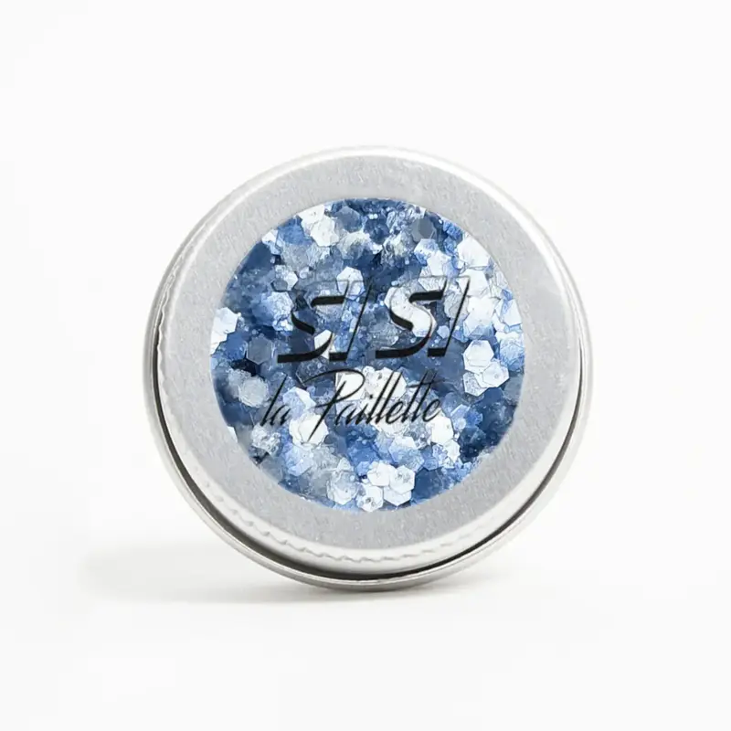 Paillettes bleues polaires Tout Schuss