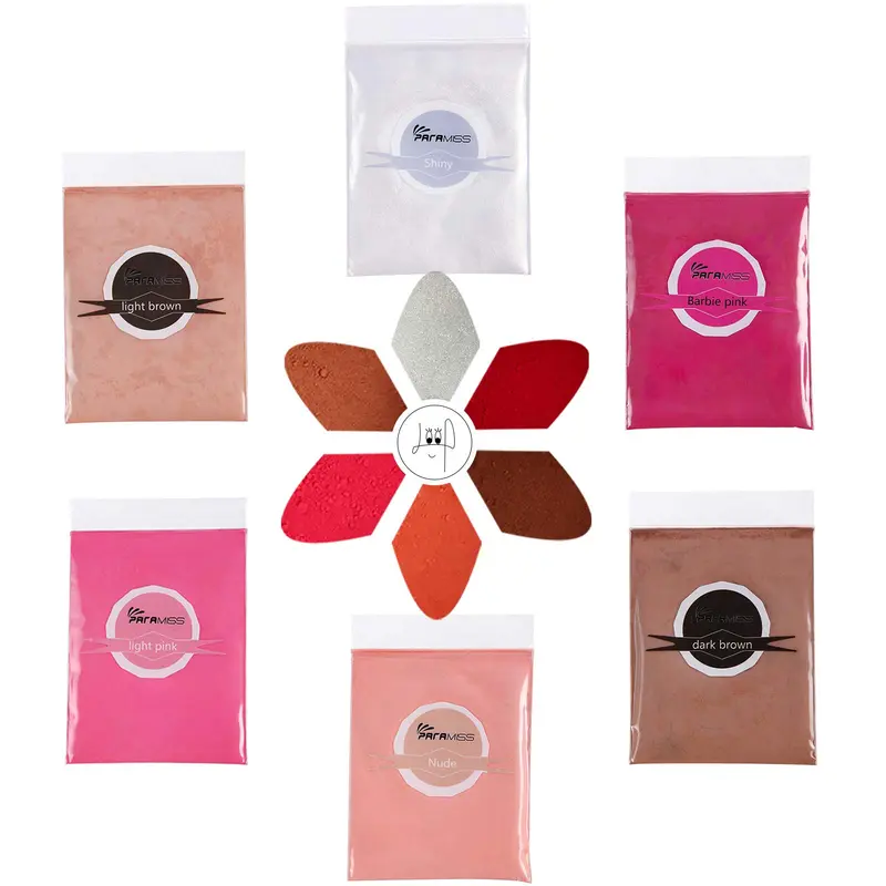 PARAMISS Poudre Pigment Lip Gloss – 5 Teintes Nude et Paillettes 10 g