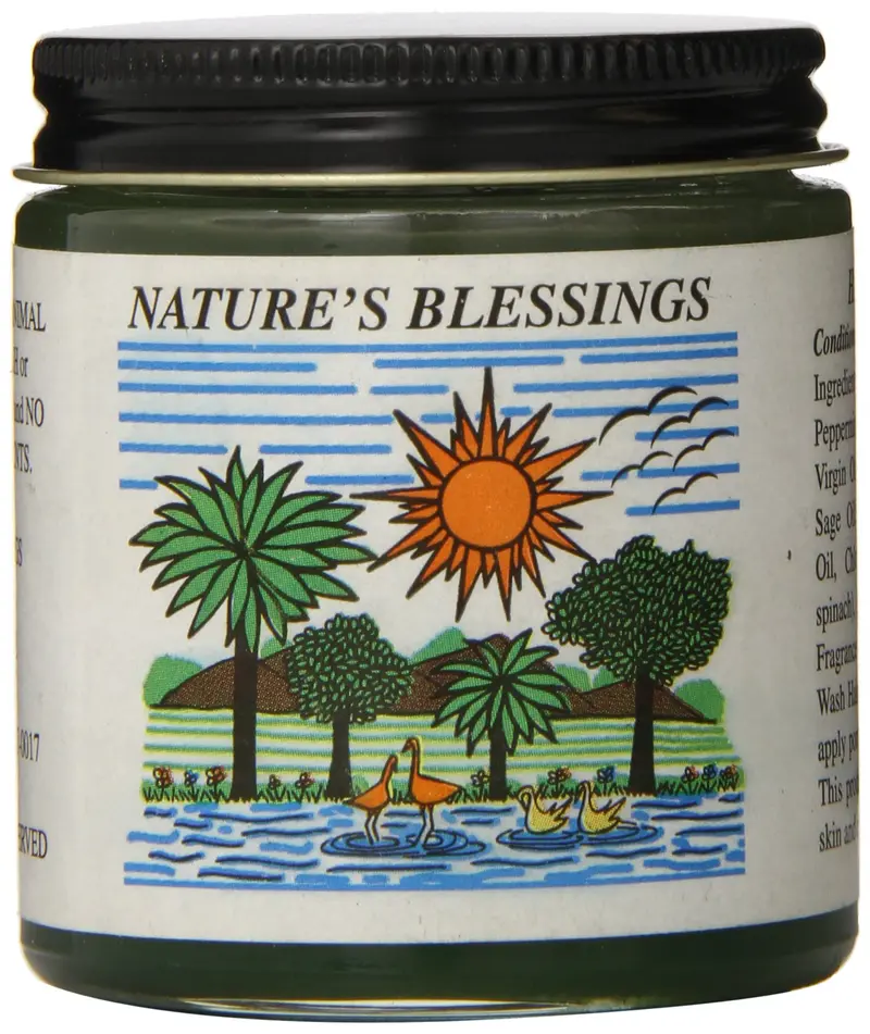 Pommade capillaire Nature's Blessings – 4 oz pour un coiffage discret et durable