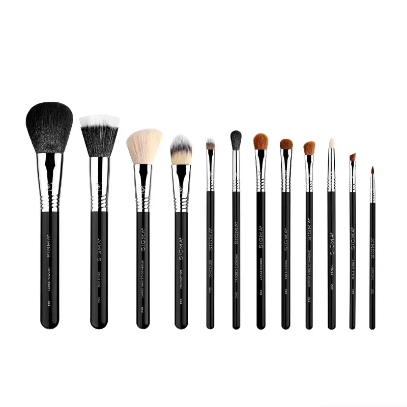 Sigma Beauty Ensemble Pinceaux Maquillage Essentiels – 12 Pinceaux CK001 Noir